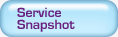 Service Snapshot